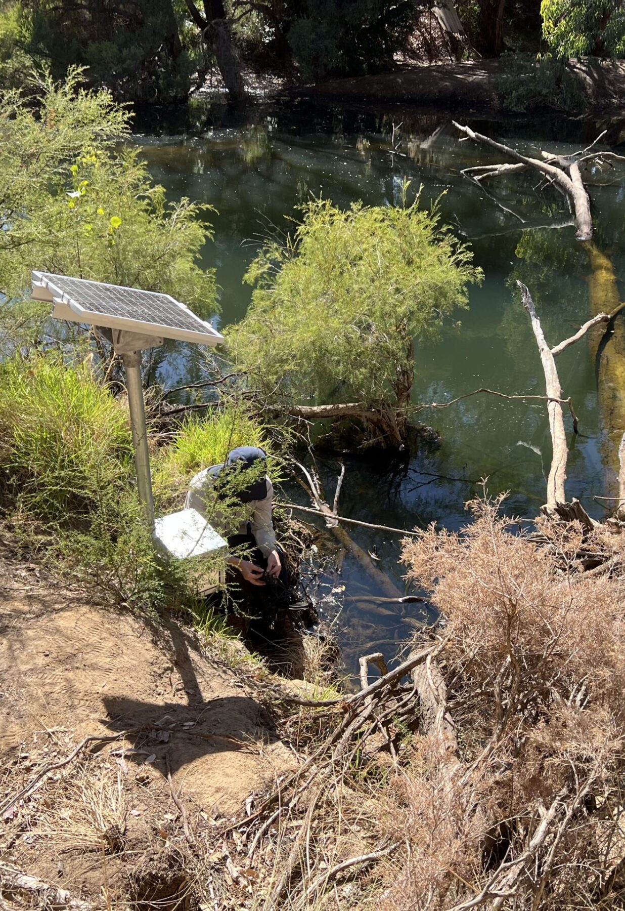 Spyvalve technology in use