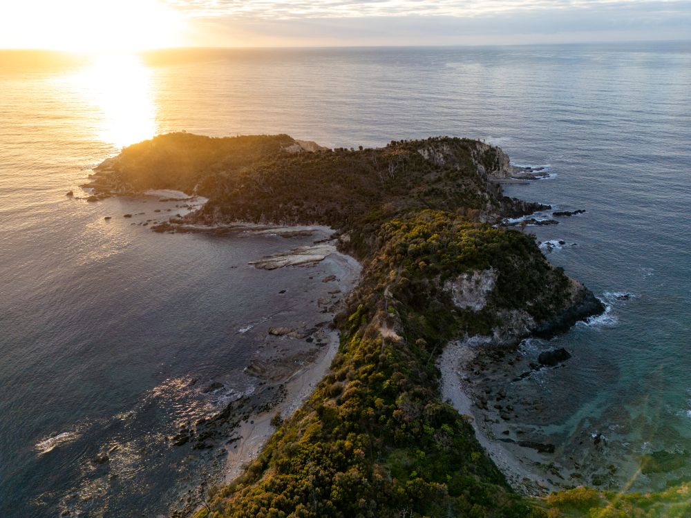 Image for article: “Walking Together, Let’s Go”: Country, Songlines and the Munjip Trail