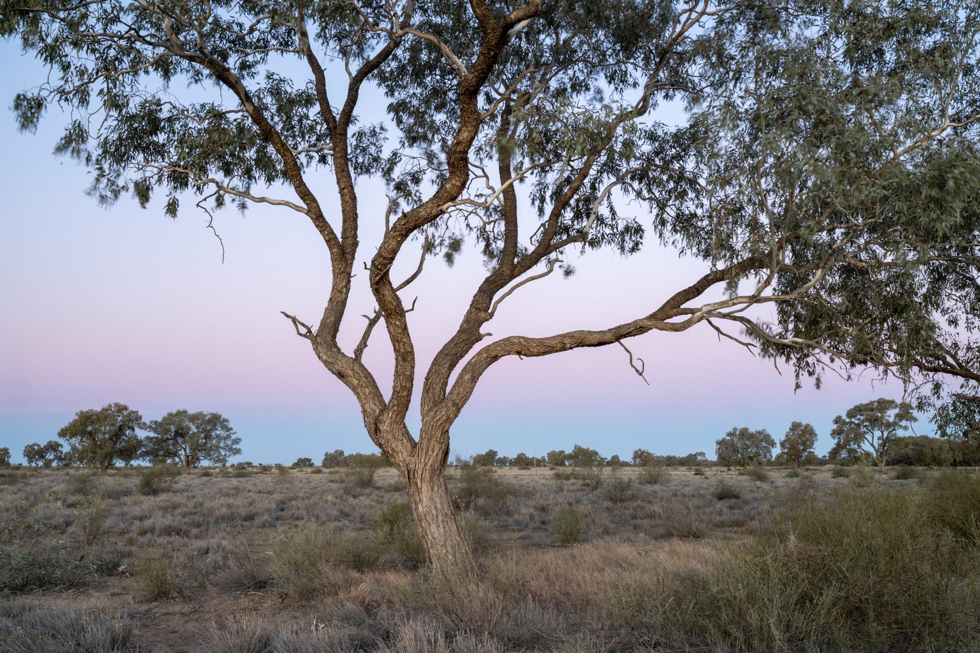 Image for article: Making conservation pay