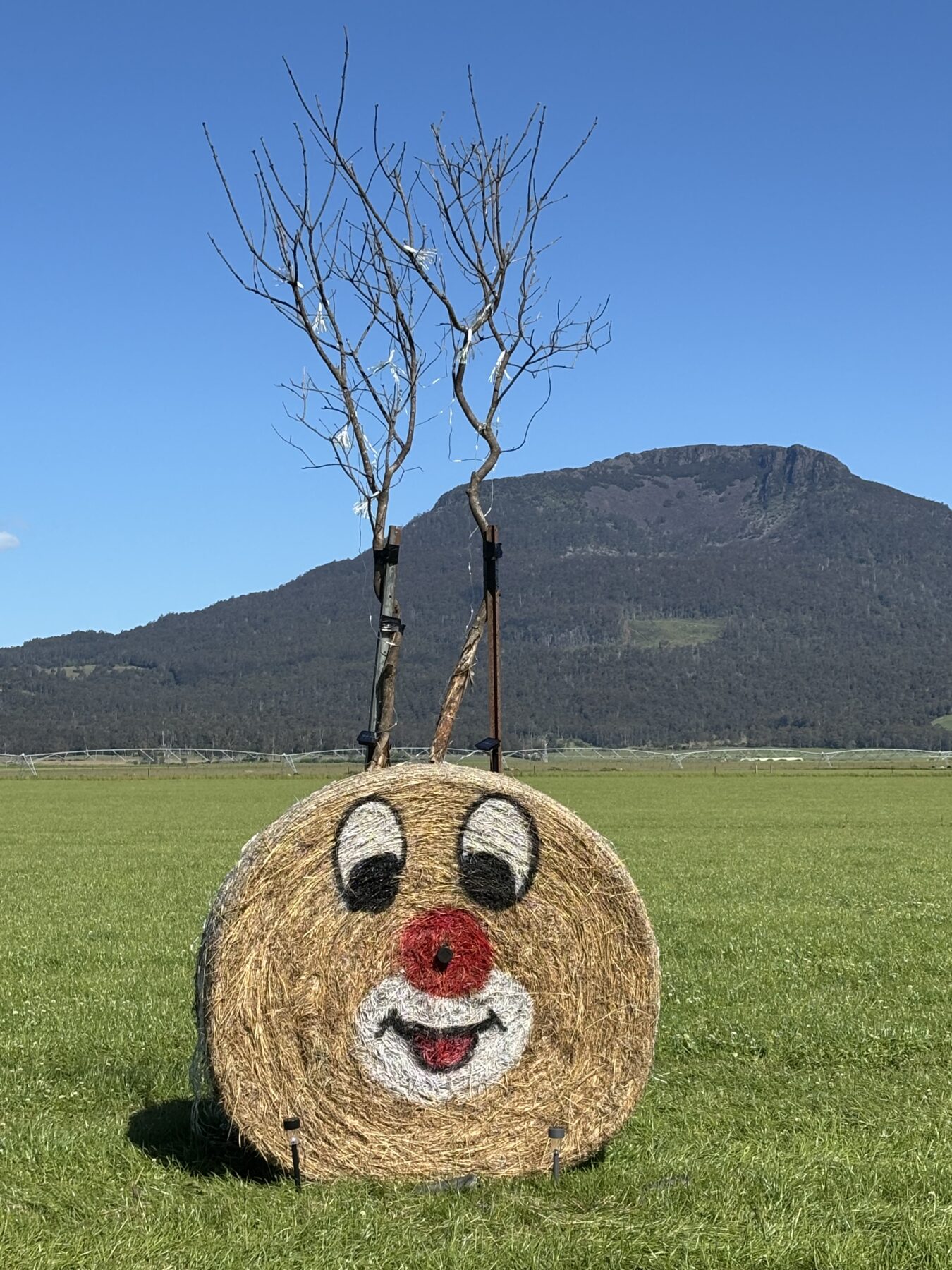 A hay bale reindeer