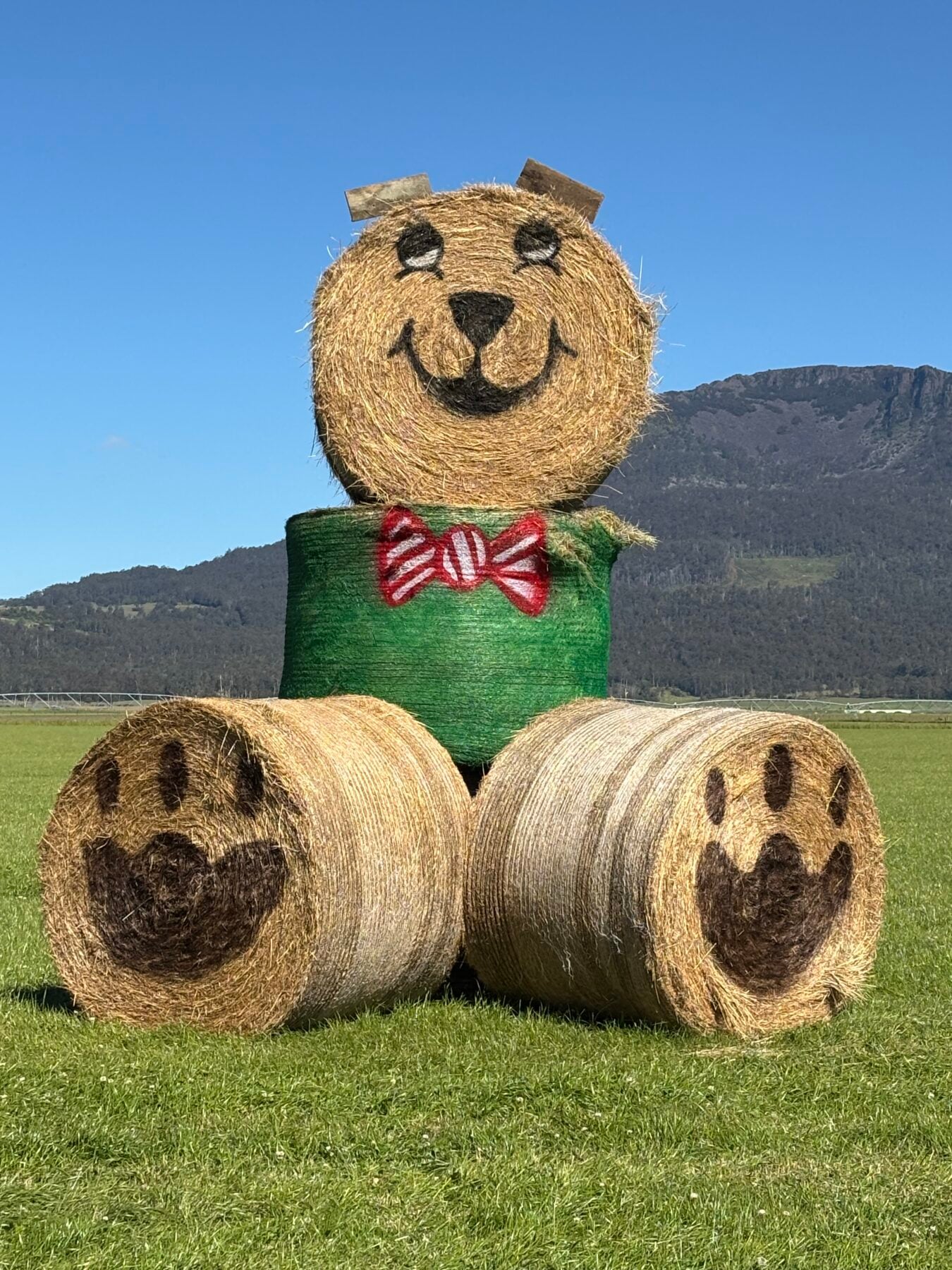 Hay bales form a smiling Christmas teddy bear