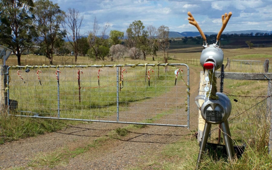 Rural creativity turns a milk can letterbox into a reindeer