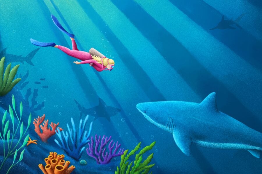 An illustration of a shark with a snorkeler and coral
