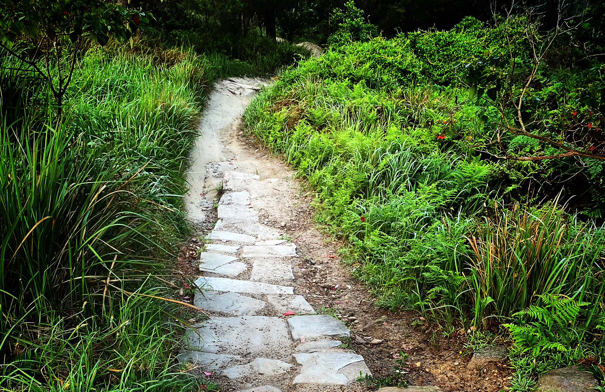 Image for article: Outdoor clean-up: Trash Free Trails launching in Australia in 2026