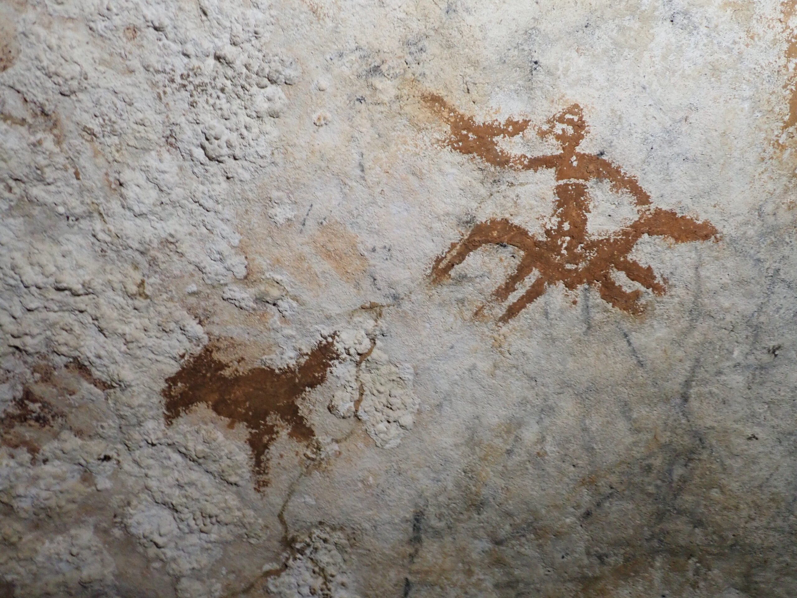 Image for article: World’s oldest rock art discovery provides evidence of early Australian migration