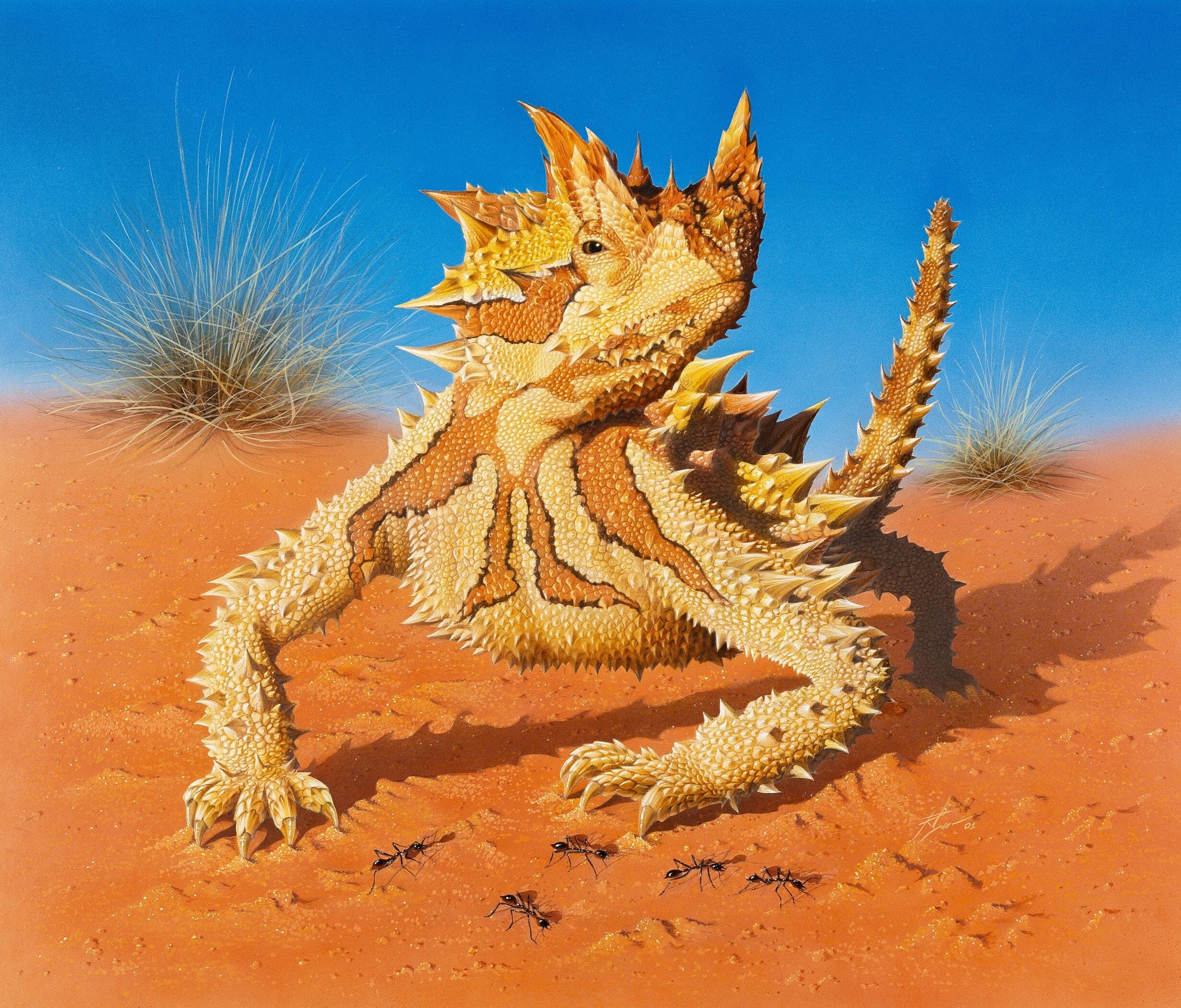 Image for article: Exploring the Australian Geographic canvas