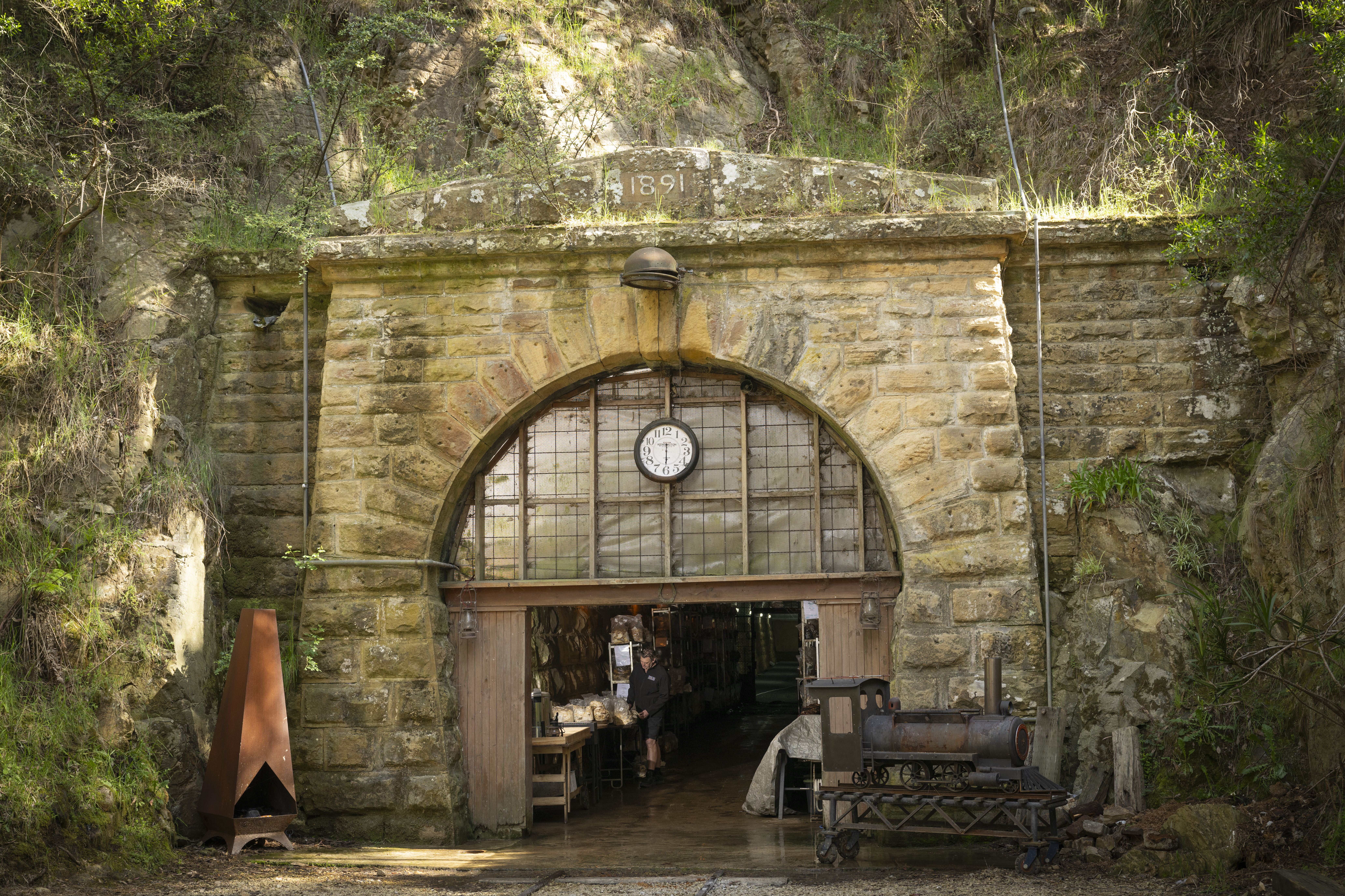 Image for article: Mushroom with a view