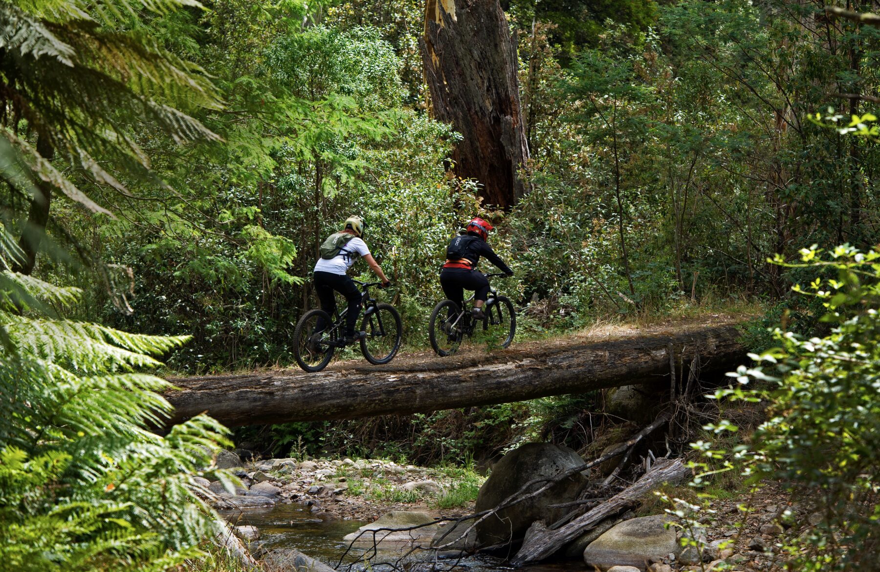 Mountainbikes cross Delatite River