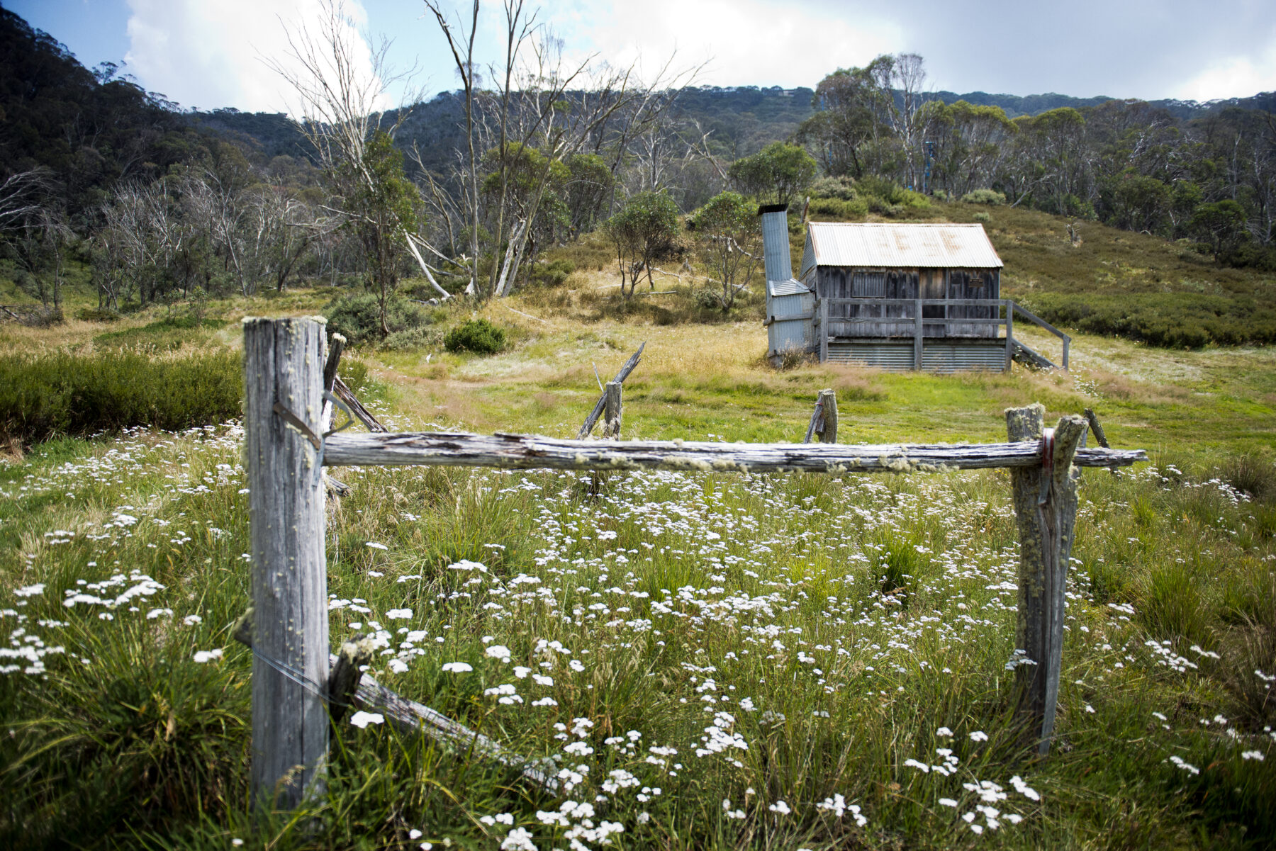 Silver Brumby Hut