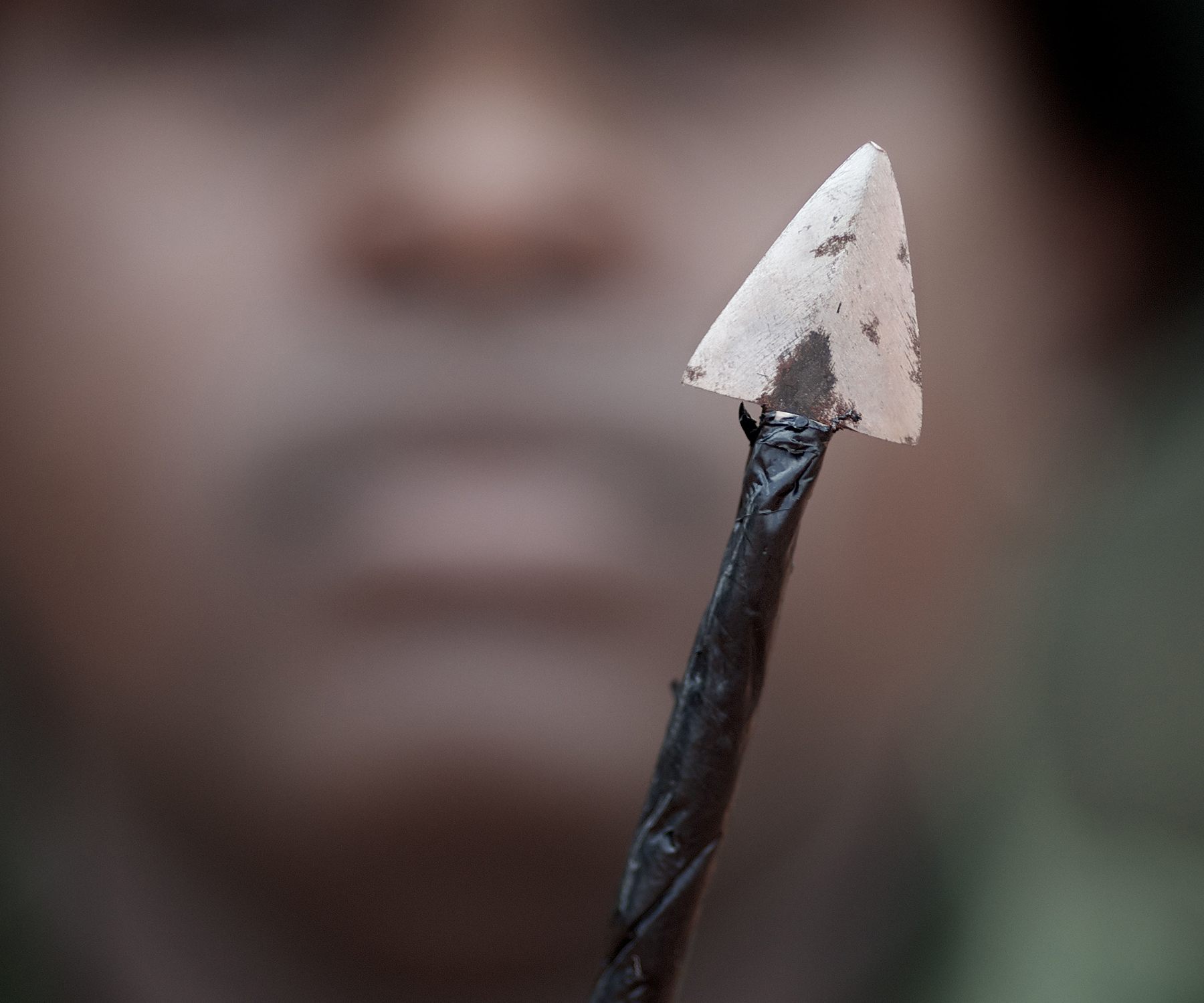 Image for article: 7000-year-old poison arrow discovery